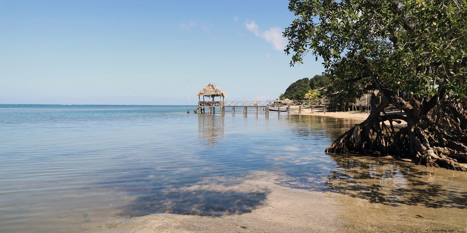 Temukan Rahasia Lokal Terbaik Karibia Dengan Wisata oleh Martha Stewart &MSC Cruises 